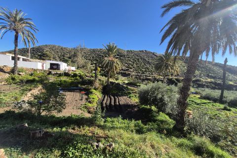 Bauernhof in Pilar De Jaravia, Almeria - Foto 2